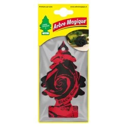 Arbre Magique, Wonderboom, Black Rose 7 Weken Lang Natuurlijke Frisheid