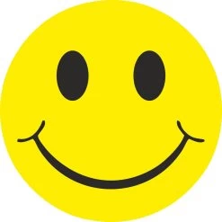 Schutz Sticker Smiley Klassiek